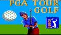Pantallazo nº 210299 de PGA Tour Golf (256 x 196)