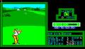 Pantallazo nº 210301 de PGA Tour Golf (256 x 192)