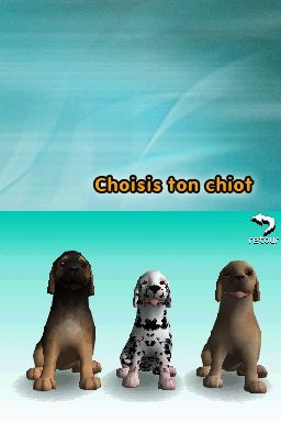 Pantallazo de Perritos: Tus Amigos al Rescate para Nintendo DS