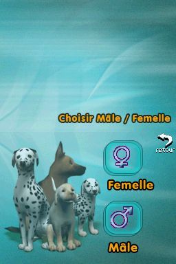Pantallazo de Perritos: Tus Amigos al Rescate para Nintendo DS