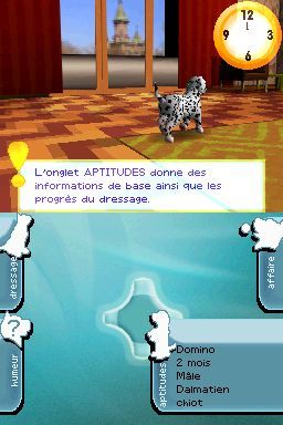 Pantallazo de Perritos: Tus Amigos al Rescate para Nintendo DS