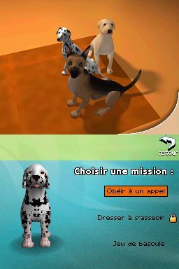 Pantallazo de Perritos: Tus Amigos al Rescate para Nintendo DS
