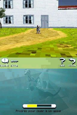 Pantallazo de Perritos: Tus Amigos al Rescate para Nintendo DS