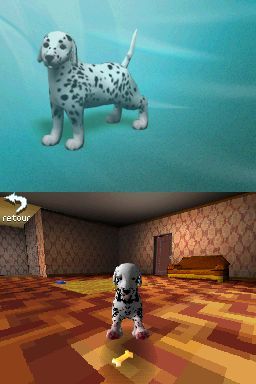 Pantallazo de Perritos: Tus Amigos al Rescate para Nintendo DS