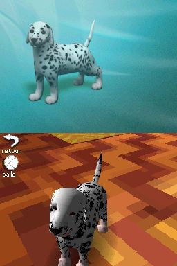 Pantallazo de Perritos: Tus Amigos al Rescate para Nintendo DS