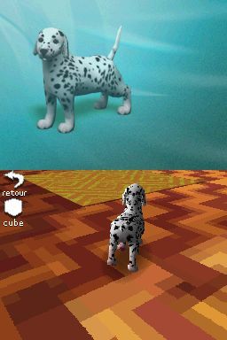 Pantallazo de Perritos: Tus Amigos al Rescate para Nintendo DS