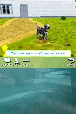 Pantallazo de Perritos: Tus Amigos al Rescate para Nintendo DS