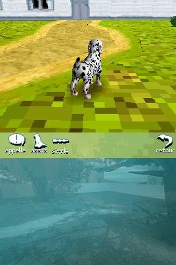 Pantallazo de Perritos: Tus Amigos al Rescate para Nintendo DS