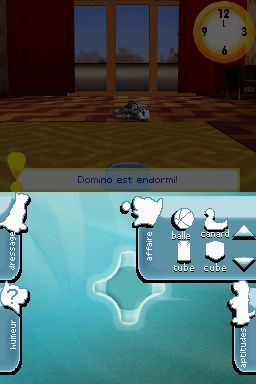 Pantallazo de Perritos: Tus Amigos al Rescate para Nintendo DS