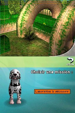 Pantallazo de Perritos: Tus Amigos al Rescate para Nintendo DS