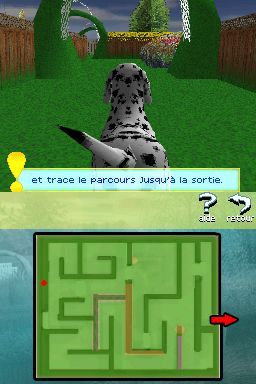 Pantallazo de Perritos: Tus Amigos al Rescate para Nintendo DS