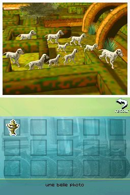 Pantallazo de Perritos: Tus Amigos al Rescate para Nintendo DS