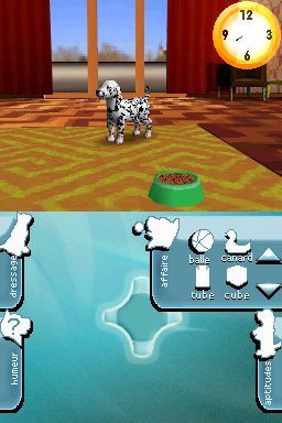 Pantallazo de Perritos: Tus Amigos al Rescate para Nintendo DS