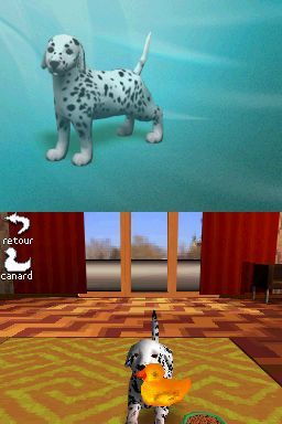 Pantallazo de Perritos: Tus Amigos al Rescate para Nintendo DS