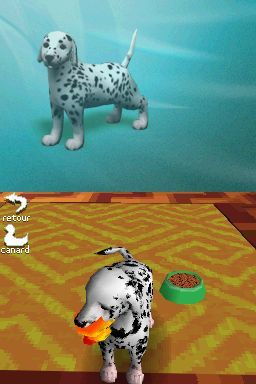 Pantallazo de Perritos: Tus Amigos al Rescate para Nintendo DS