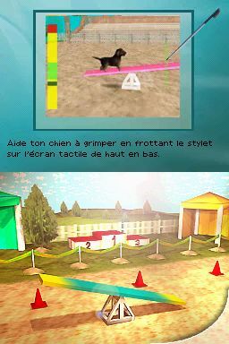 Pantallazo de Perritos: Tus Amigos al Rescate para Nintendo DS