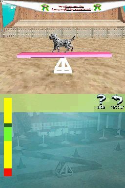 Pantallazo de Perritos: Tus Amigos al Rescate para Nintendo DS