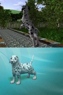 Pantallazo de Perritos: Tus Amigos al Rescate para Nintendo DS