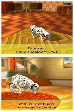 Pantallazo de Perritos: Tus Amigos al Rescate para Nintendo DS