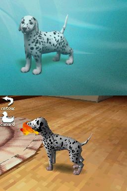 Pantallazo de Perritos: Tus Amigos al Rescate para Nintendo DS