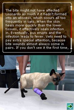 Pantallazo de Pet Pals: Animal Doctor para Nintendo DS