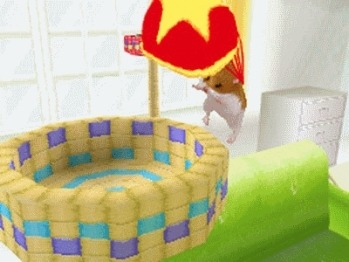 Pantallazo de Petz: Hamster Superstar (Dsi Ware) para Nintendo DS
