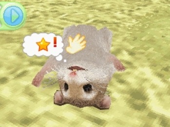 Pantallazo de Petz: Hamster Superstar (Dsi Ware) para Nintendo DS