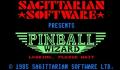 Pantallazo nº 7148 de Pinball Wizard (293 x 204)