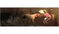 Pantallazo nº 119513 de Pippa Funnell: Ranch Rescue (400 x 400)