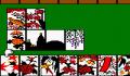 Foto 2 de Pocket Hanafuda (Japonés)