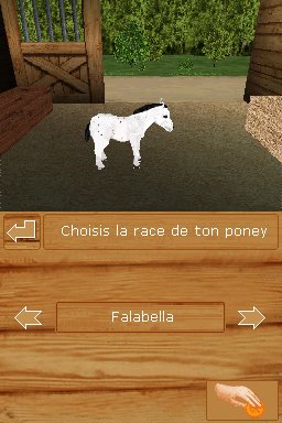 Pantallazo de Ponis: Tus Amigos mas Divertidos para Nintendo DS