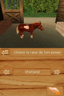 Pantallazo de Ponis: Tus Amigos mas Divertidos para Nintendo DS