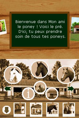 Pantallazo de Ponis: Tus Amigos mas Divertidos para Nintendo DS