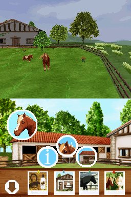 Pantallazo de Ponis: Tus Amigos mas Divertidos para Nintendo DS