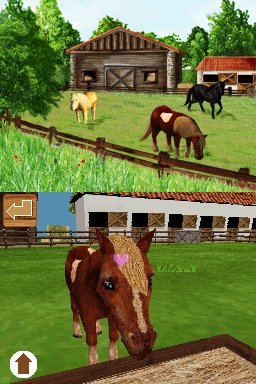 Pantallazo de Ponis: Tus Amigos mas Divertidos para Nintendo DS