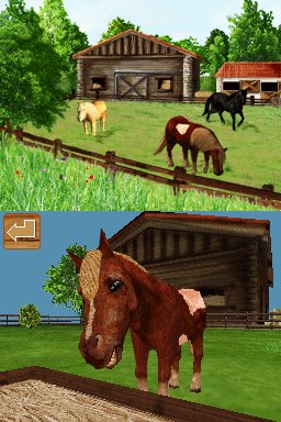 Pantallazo de Ponis: Tus Amigos mas Divertidos para Nintendo DS