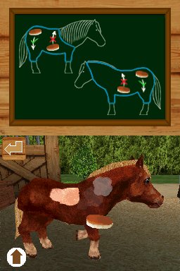 Pantallazo de Ponis: Tus Amigos mas Divertidos para Nintendo DS