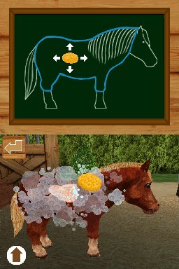 Pantallazo de Ponis: Tus Amigos mas Divertidos para Nintendo DS
