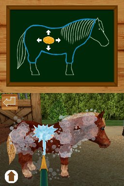 Pantallazo de Ponis: Tus Amigos mas Divertidos para Nintendo DS