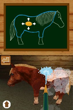 Pantallazo de Ponis: Tus Amigos mas Divertidos para Nintendo DS