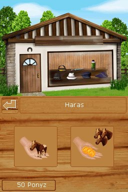 Pantallazo de Ponis: Tus Amigos mas Divertidos para Nintendo DS