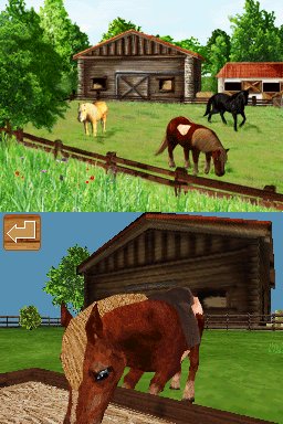 Pantallazo de Ponis: Tus Amigos mas Divertidos para Nintendo DS