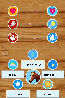 Pantallazo de Ponis: Tus Amigos mas Divertidos para Nintendo DS