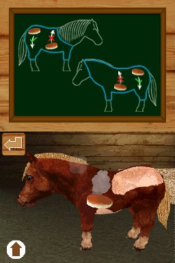 Pantallazo de Ponis: Tus Amigos mas Divertidos para Nintendo DS