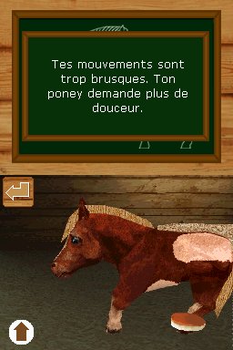 Pantallazo de Ponis: Tus Amigos mas Divertidos para Nintendo DS