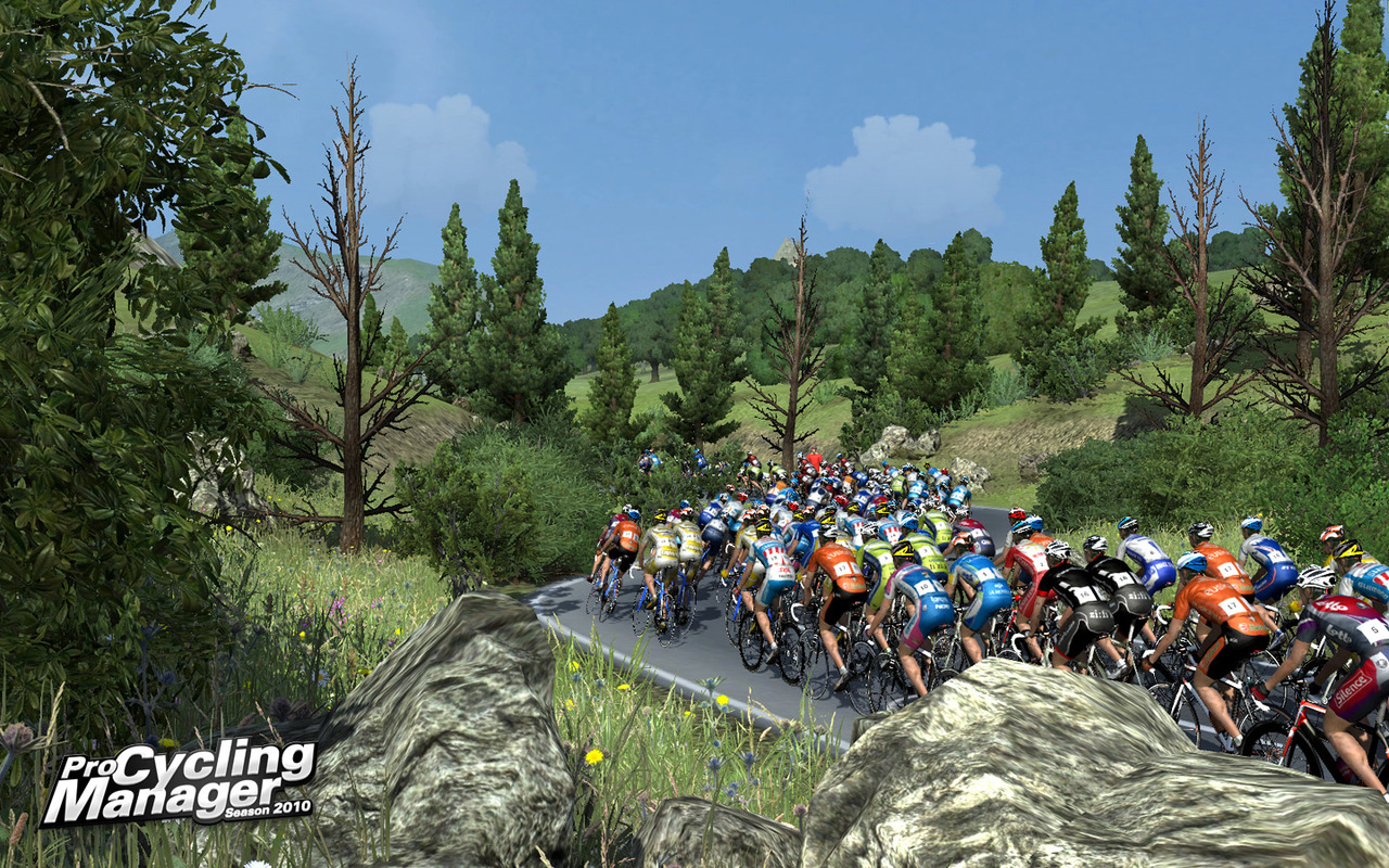 Pantallazo de Pro Cycling Manager / Tour de France 2010 para PC