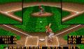 Pantallazo nº 21712 de R.B.I. Baseball '94 (316 x 282)