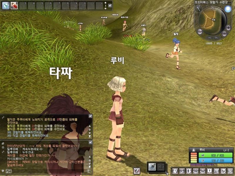 Pantallazo de Ragnarok Online II: The Gate of the World para PC