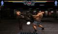 Pantallazo nº 75041 de Real Fighting Championship (800 x 600)