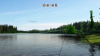 Pantallazo de Real Fishing Challenge II (Wii Ware) para Wii